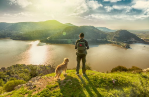 A guy and a dog on a mountaintop overlooking a sea