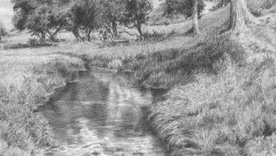 Photo of How To Draw Grass Using Different Materials