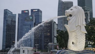 Photo of Key steps for starting a new business in Singapore