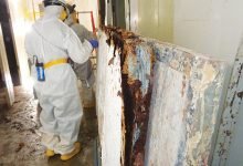 Photo of Significance Of Mold Removal In Aurora Co | Reasons To Hire Professionals