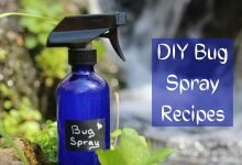 Photo of DIY Bug Spray Recipes Safe for You – Pest control Tips