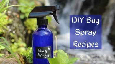 Photo of DIY Bug Spray Recipes Safe for You – Pest control Tips
