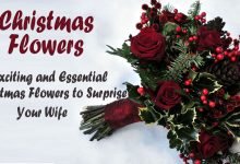 Photo of Top 6 Famous Christmas Flowers for Decoration