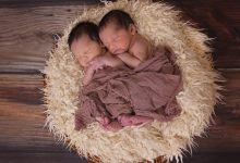 Photo of Probability to Get Twins from a Surrogate