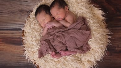 Photo of Probability to Get Twins from a Surrogate