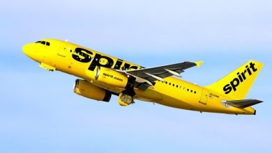 Photo of How to Speak to a Spirit Airlines Representative?