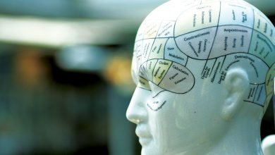 Photo of Pursue Bachelors in Psychology in the UK