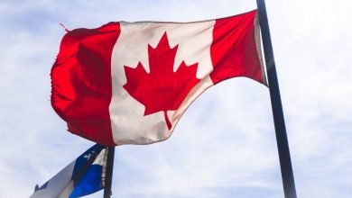 Photo of PNP Immigration Options for International Students