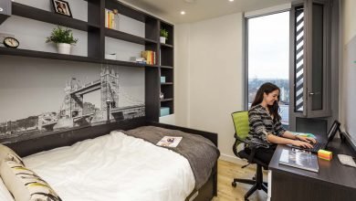 Photo of Top 5 Reasons to Study in Abroad