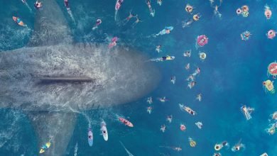 Photo of Moviesrush | what is my opinion about The Meg movie