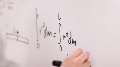 Photo of Integration and Its Different Methods to Do