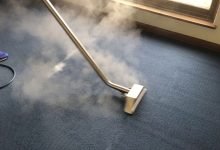Photo of Professional Carpet Steam Cleaning – The Benefits