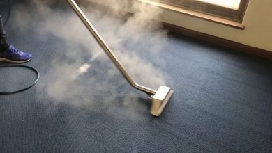 Photo of Professional Carpet Steam Cleaning – The Benefits