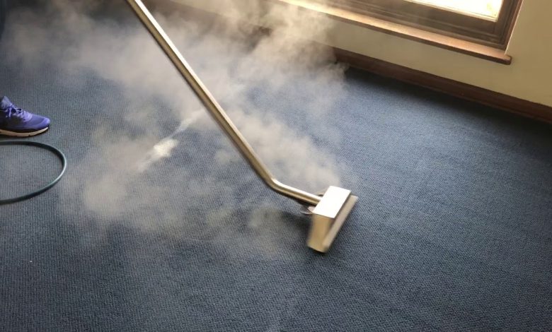 Photo of Professional Carpet Steam Cleaning – The Benefits