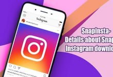 Photo of SnapInsta – Details about Instagram downloader