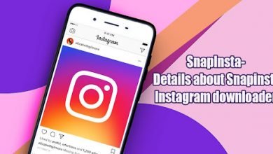 Photo of SnapInsta – Details about Instagram downloader