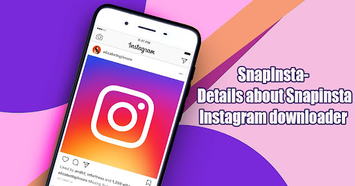 Photo of SnapInsta – Details about Instagram downloader