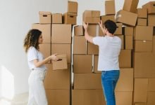 Photo of Ace in shipping your items worldwide with custom shipping boxes