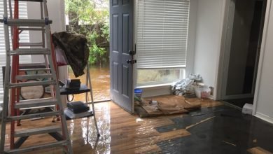 Photo of Flood Damage Restoration VS Water Mitigation
