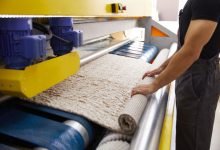 Photo of How to Eliminate & Prevent Mold Growth – Carpet Cleaning Erina