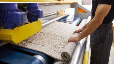 Photo of How to Eliminate & Prevent Mold Growth – Carpet Cleaning Erina