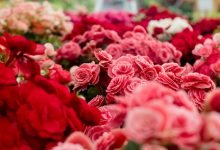 Photo of Unique flower decoration ideas for birthday parties…