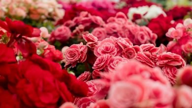 Photo of Unique flower decoration ideas for birthday parties…