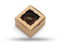Photo of What are Bakery Boxes with Window?
