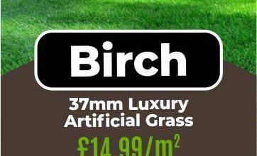 Photo of The Benefits of Using Luxury Artificial Grass In Your Lawn
