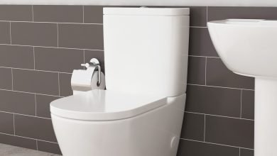 Photo of What to Look for When Buying Contemporary Toilet?
