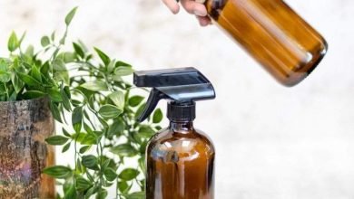 Photo of All You Need To Know About 8oz Trigger Sprayer Bottle