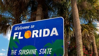 Photo of Why is Trip to Florida so Popular