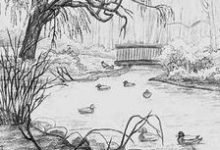 Photo of Drawing for kids