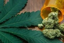 Photo of Tips To Follow The Maryland Medical Marijuana Patient Instructions