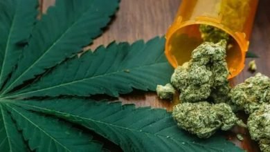 Photo of Tips To Follow The Maryland Medical Marijuana Patient Instructions