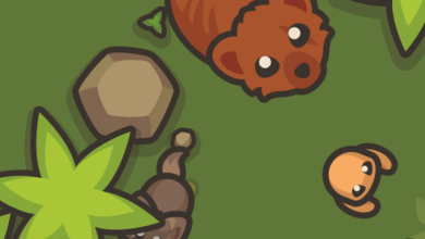 Photo of Taming IO – Dominate Your Enemies in Online World!