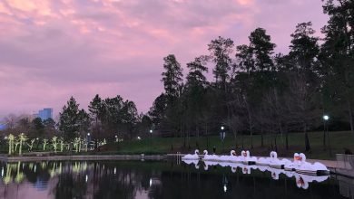 Photo of The Things To Do in the Woodlands is the Place to be this Holiday Season