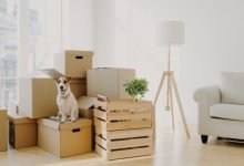 Photo of 9 Easy Tips To Move Seamlessly During The Holidays