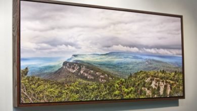 Photo of Things You Must Consider Before Buying a Canvas Print