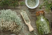 Photo of Cypress Essential Oil Uses & Benefits