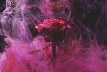 Photo of Let a grin clasp your adored one’s face this rose day