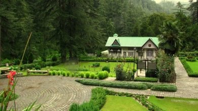 Photo of 7 Unexplored Tourist Places Near Shimla
