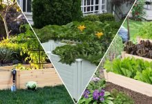 Photo of Exploring the Choices of Planter Boxes For a Home Garden