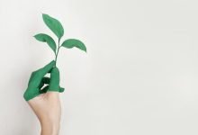 Photo of 8 Simple Ways to Reduce Carbon Footprint