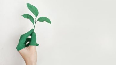 Photo of 8 Simple Ways to Reduce Carbon Footprint