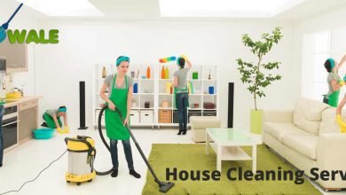 Photo of The Best Pest Control Service in Noida