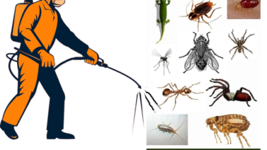 Photo of Best Pest Control Service in Noida