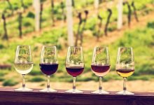 Photo of The perfect tour guide to the vineyards