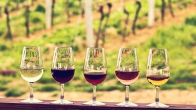 Photo of The perfect tour guide to the vineyards