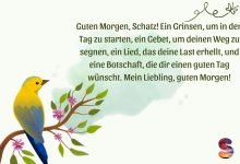 Photo of Beautiful GOOD MORNING phrases for my love and to love